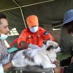 WHO validates Bhutan for eliminating dog-transmitted human rabies